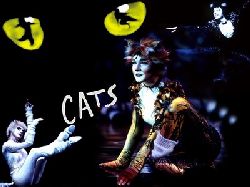  Affiche de la comédie musicale CATS