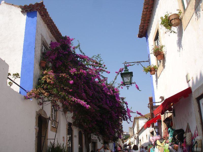 Petites rues étroites d’Óbidos où les bougainvilliers sont rois. Óbidos, Portugal.