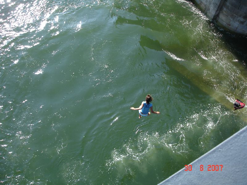 Du pont Dom Luis 1er des jeunes filles sautent dans les eaux du Douro, Porto, Portugal.