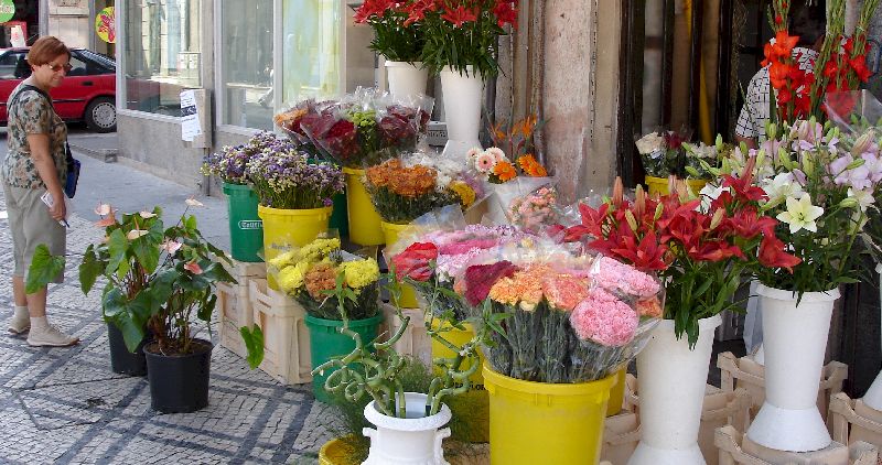 Boutique de fleurs à Viseu, Portugal.