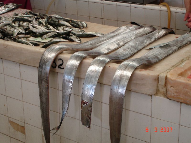 Marché de poissons de Setúbal, Portugal.