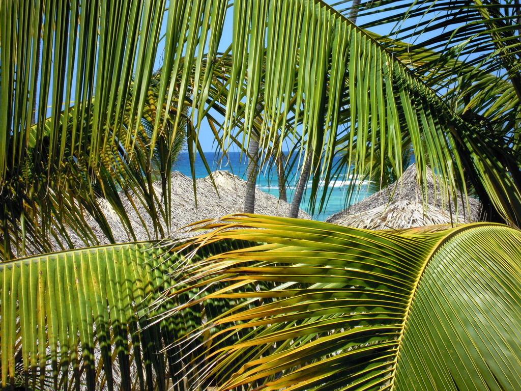 Grand Bahia Principe, Punta Cana, République dominicaine.