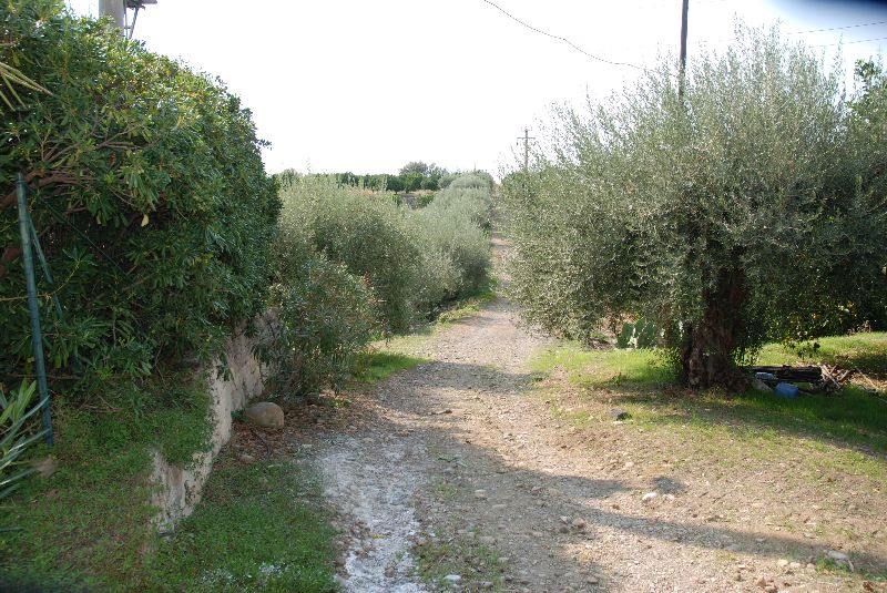Un des champs de la ferme Ruvitello Farm Hazienda agrituristica, Catane, Italie.