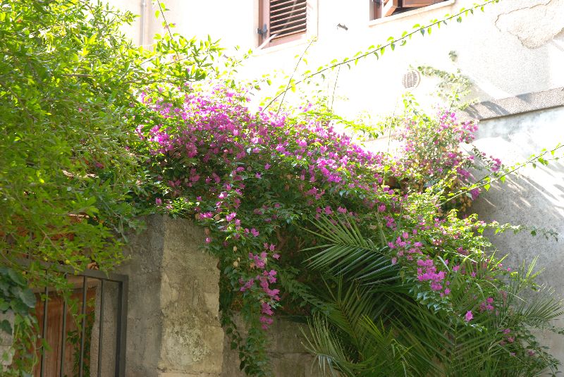 Giardino Ibléo, Ragusa Ibla, Italie.