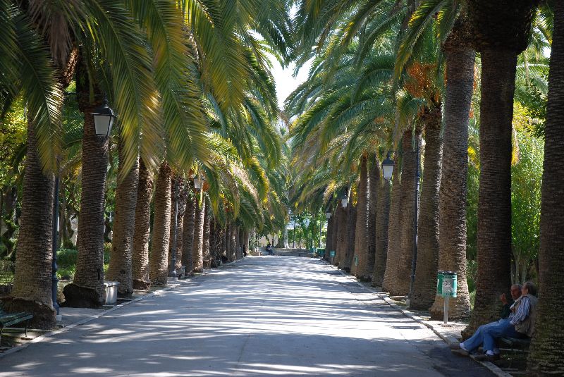 Une allée de palmiers sise à l’entrée de « Giardino Ibleo » à Ragusa Ibla, Italie.