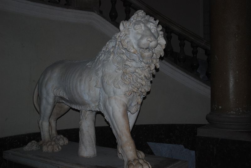Statue d’un lion, Musée archéologique national de Naples, Italie.