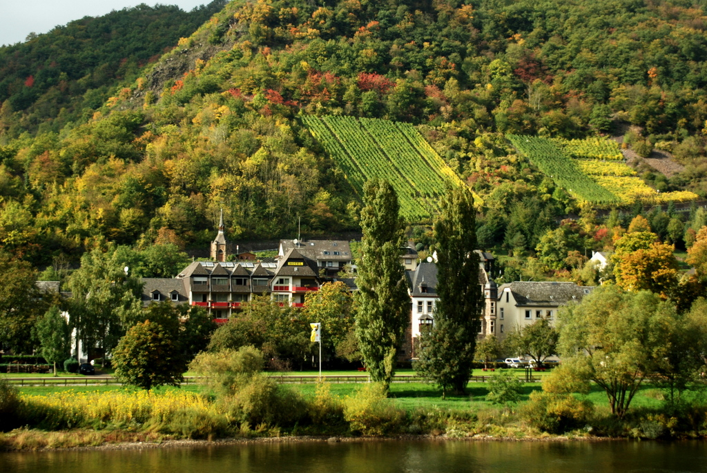 Vallée de la Moselle, Allemagne