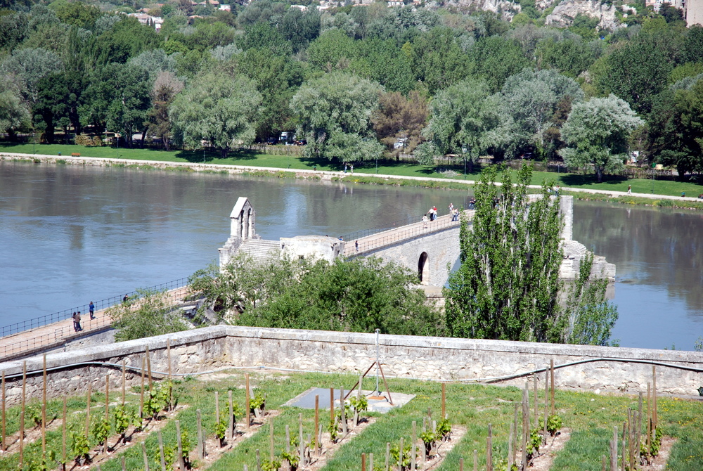 Le pont d’Avignon vu du Rocher des Doms, Avignon, France.