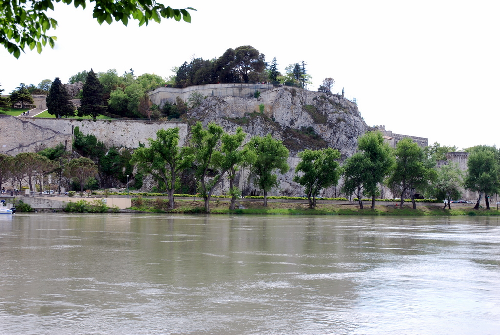 Île de Barthelasse, Avignon, France
