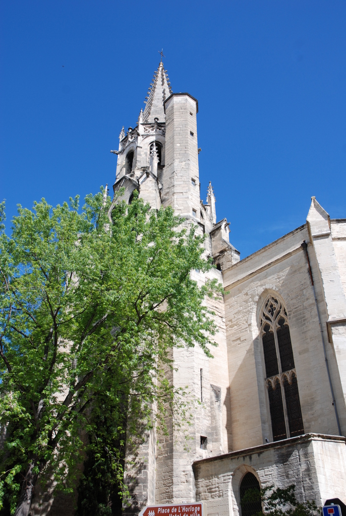  Église Saint-Pierre, Avignon, France