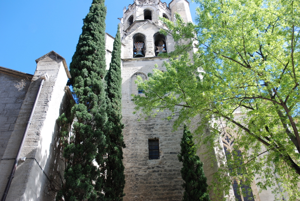  Église Saint-Pierre, Avignon, France