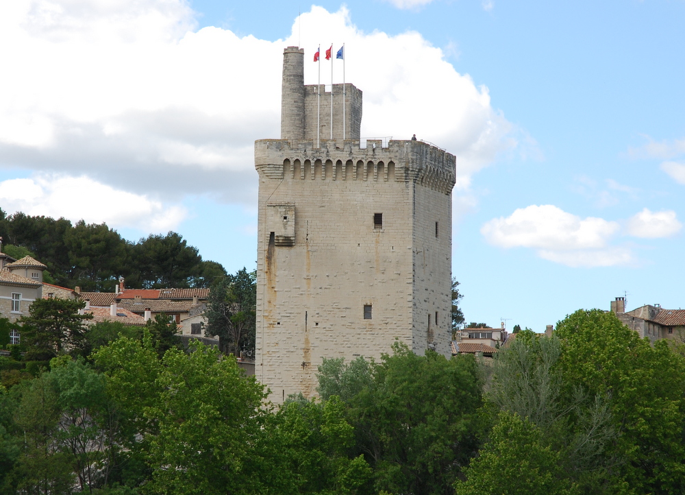 Rhône, Villeneuve-lès-Avignon, France