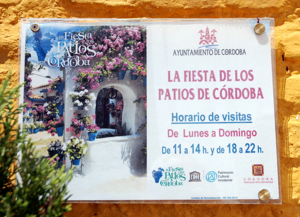 Fiesta de los Patios, Cordoue, Espagne