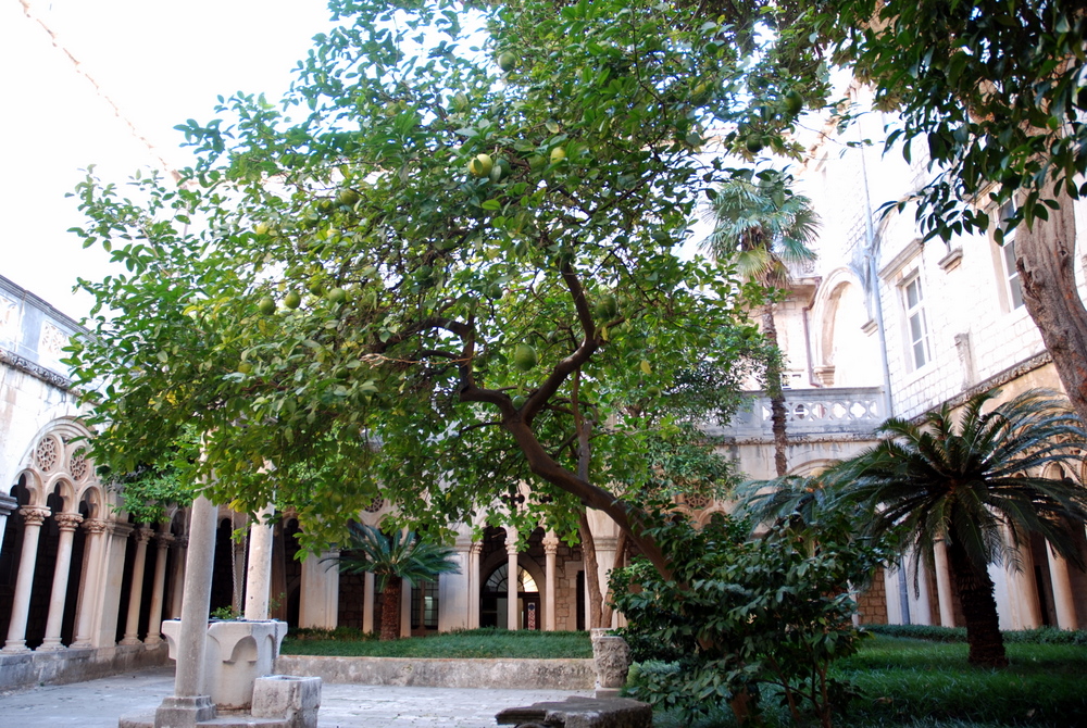  Cloître du couvent des Dominicains, Dubrovnik, Croatie.