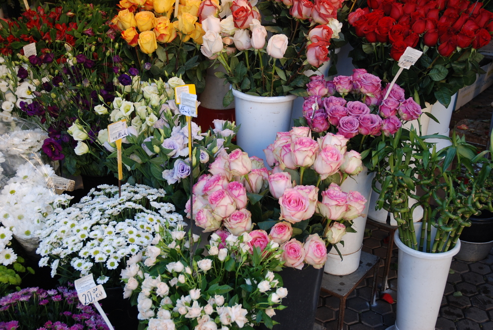 Le marché aux fleurs, Zagreb, Croatie.