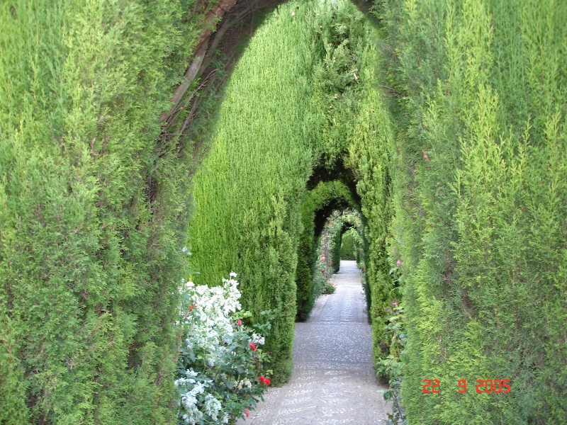 Grenade, Espagne, des haies et des arches de cèdres dans les jardins de l'Alhambra!