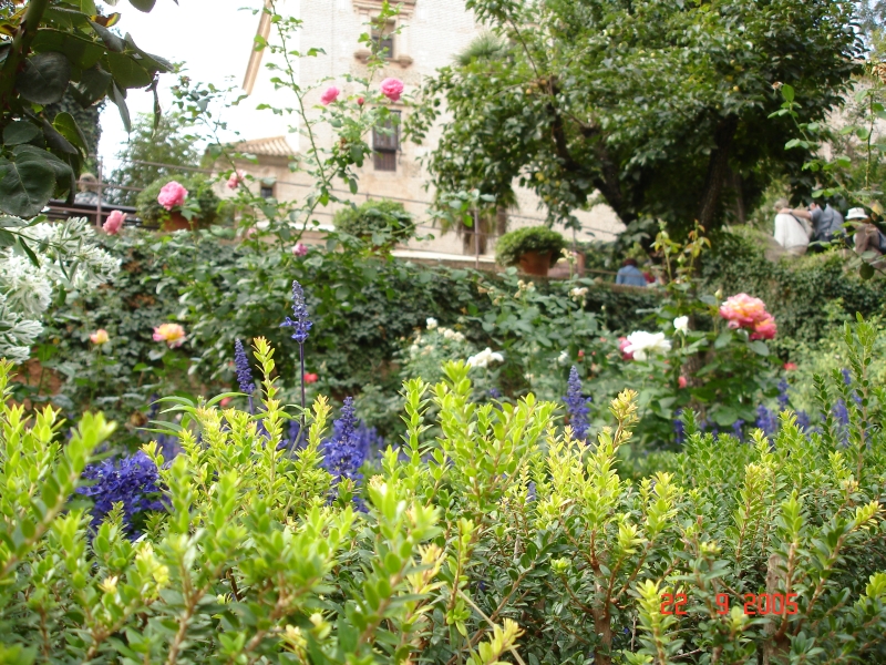 Un autre jardin en fleur à l'Alhambra de Grenade, Espagne.