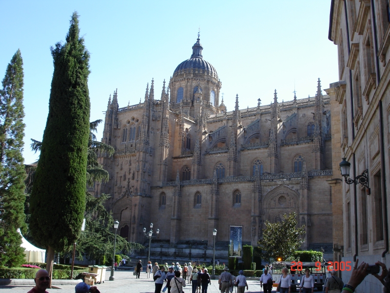 Cathédrale de Salamanca, Espagne.