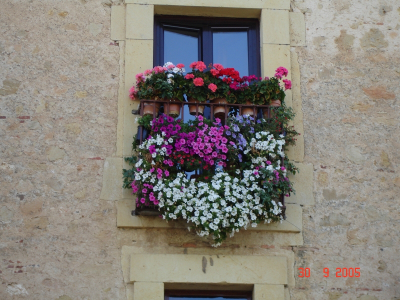 Les gens de Ségovie ornent leurs fenêtres de magnifiques fleurs. Ségovie, Espagne.