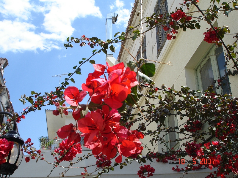 Nauplie, une ville fleurie, Grèce.