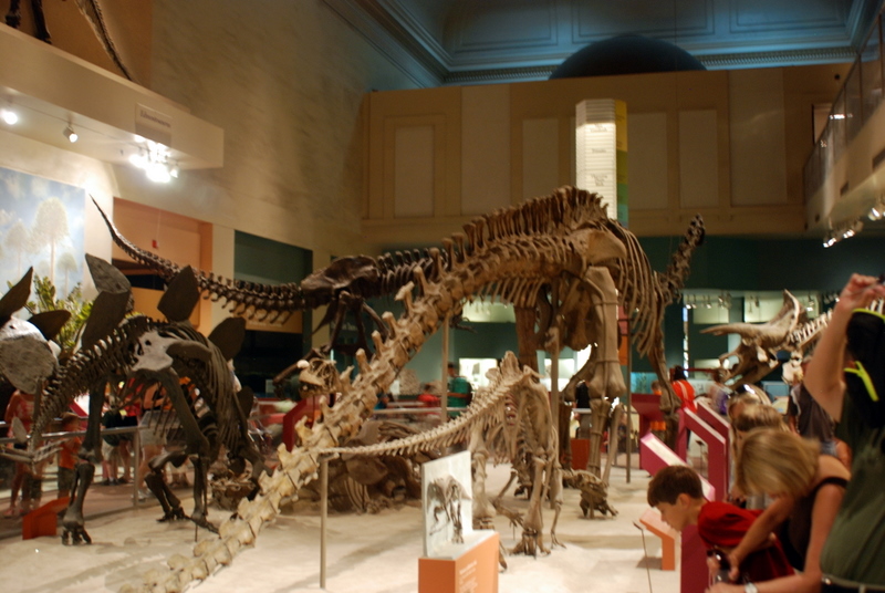Museum d’histoire naturelle Smithsonian, Washington D.C., États-Unis.