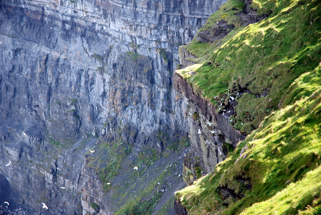 Cliffs of Moher, Comté de Clare, république d’Irlande 