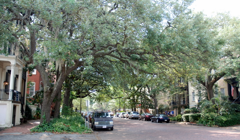  Rue typique de Savannah, Georgie, États-Unis.