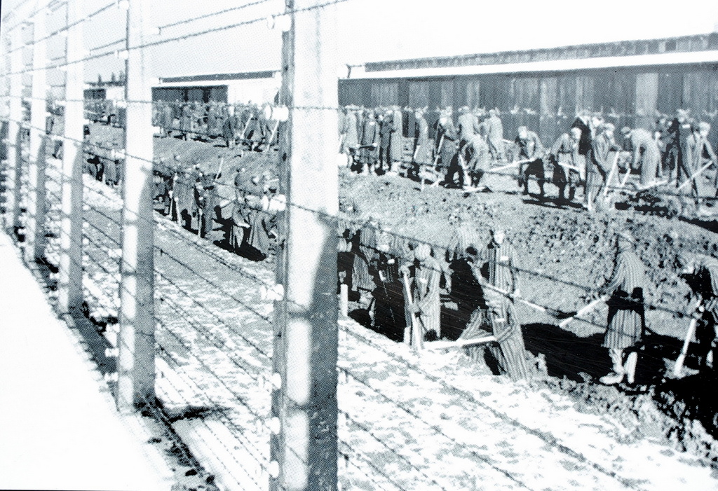 Camp d'extermination d'Auschwitz, Pologne 