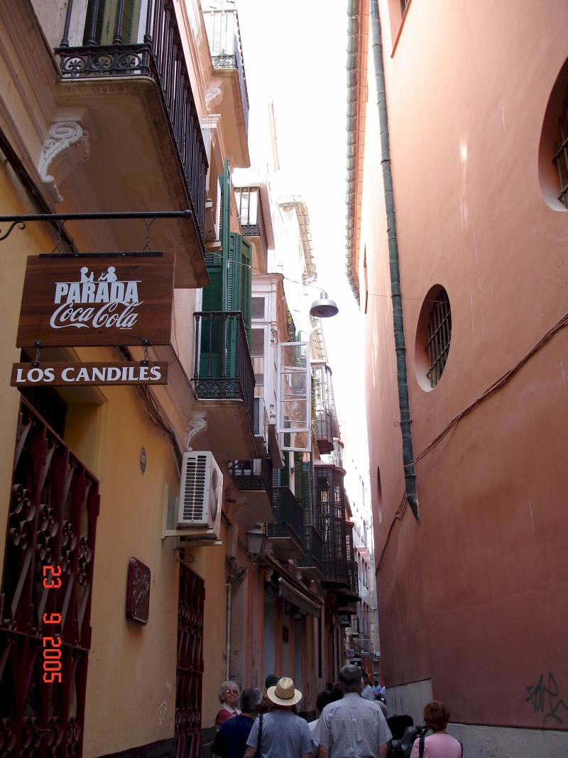 Rue typique de la médina de Málaga en Espagne.