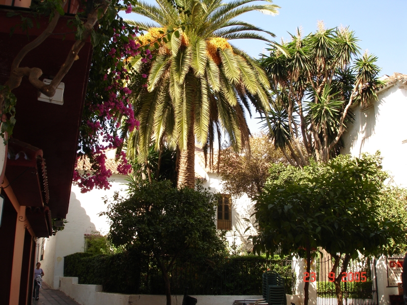 Une villa sous les palmiers à Marbella, Espagne.