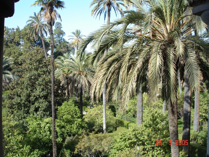 Les jardins des Alcazars royaux à Séville, Espagne.
