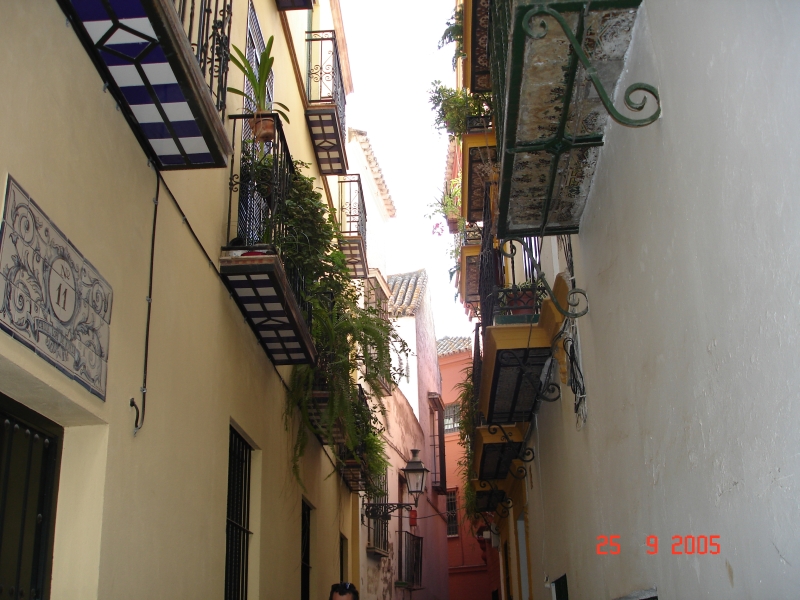 Des rues étroites où l’on retrouve une flore des plus riche. Séville, Espagne.