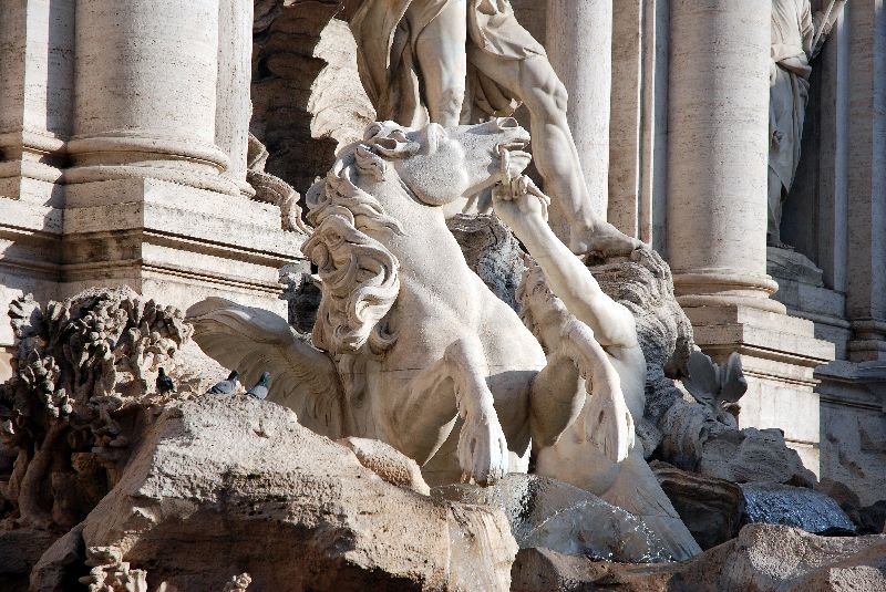 Un des deux chevaux tirant le char de Neptune à la fontaine de Trevi, Rome, Italie.