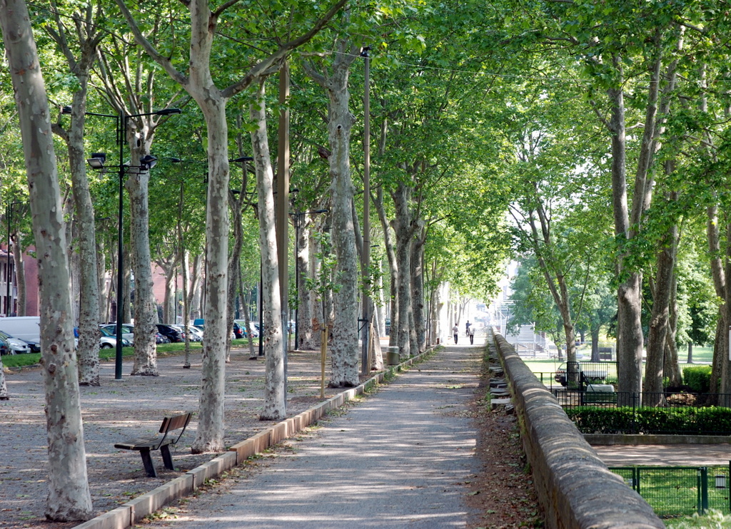 Promenade Henri-Martin, Toulouse, France