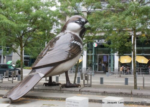 The Birds, Village olympique, Vancouver, Colombie-Britannique