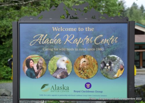 Alaska Raptor Center, Sitka, Alaska, États-Unis