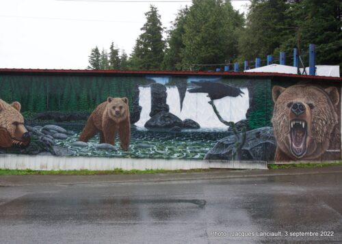 Grizzly, Prince Rupert, Colombie-Britannique, Canada