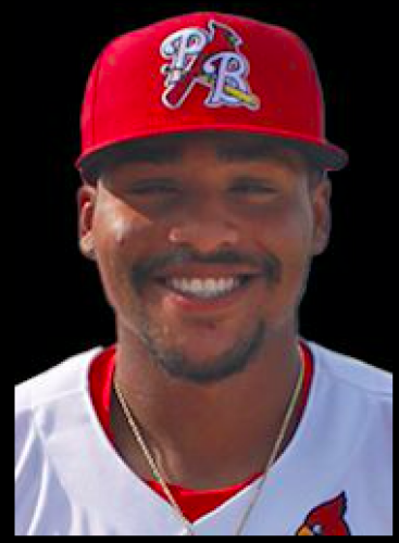 Brandon Hernandez, Cardinals de Palm Beach, Cardinals de Saint Louis - A