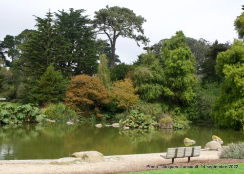 Jardin botanique de San Francisco, parc du Golden Gate, San Francisco, Californie, États-Unis