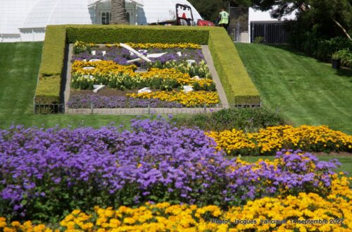 Conservatory of flowers, parc du Golden Gate, San Francisco, Californie, États-Unis