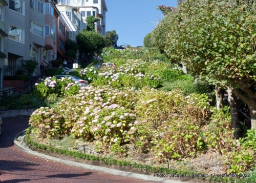 Lombard Street, San Francisco, Californie, États-Unis