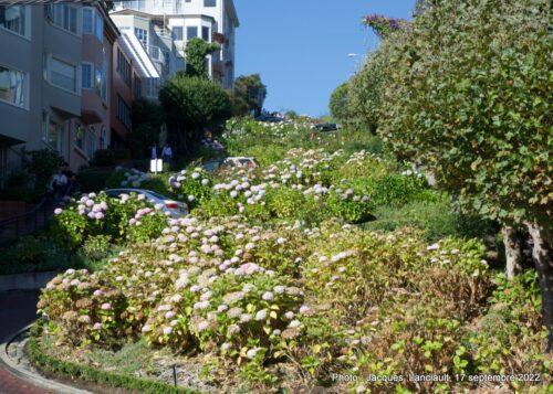 Lombard Steet, San Francisco, Californie, États-Unis