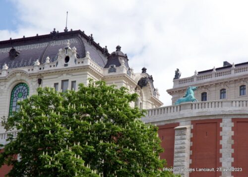 Palais royal de Budapest, Hongrie