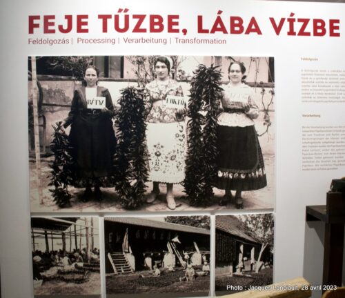 Musée de la ferme équestre Bakod, Hongrie