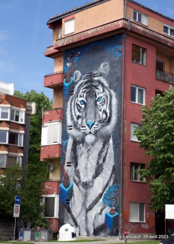 Murale, Novi Sad, Serbie