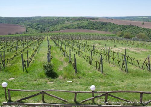 Seven Generations Winery, Mechka, Bulgarie